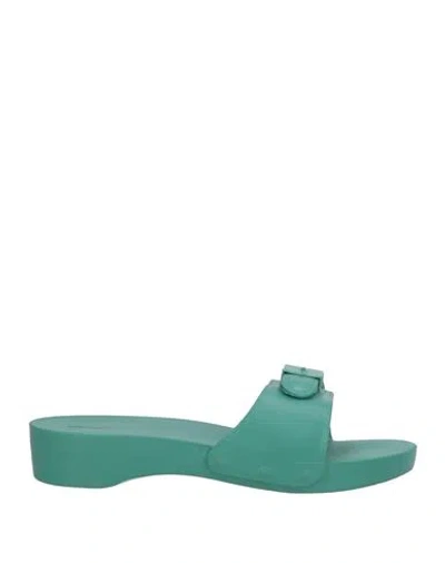 Scholl Iconic Woman Sandals Green Size 8 Rubber