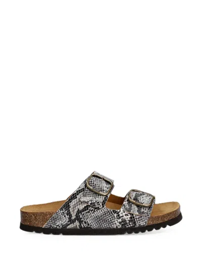 Scholl Josephine Flat Sandals In Animal Print