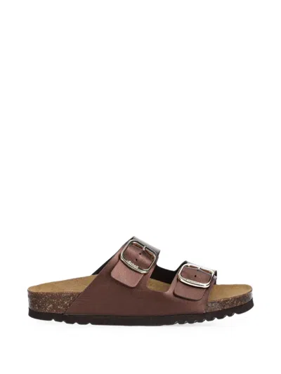 Scholl Josephine Flat Sandals In Brown