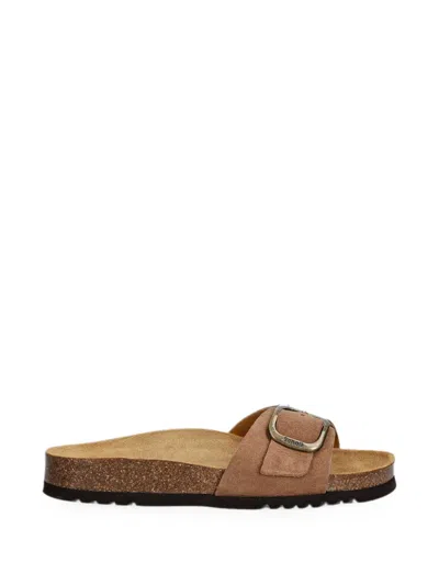 Scholl Kathleen Buckle-fastening Suede Slides In Brown