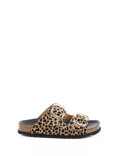 Scholl Noelle Leopard Slipper In Animal Print