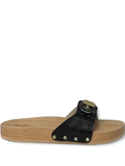 Scholl Pescura Buckle Studded Sandals In Black