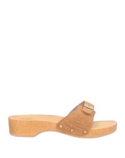 Scholl Woman Mules & Clogs Brown Size 9 Leather