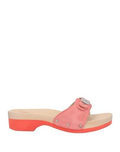 Scholl Woman Mules & Clogs Salmon Pink Size 11 Leather