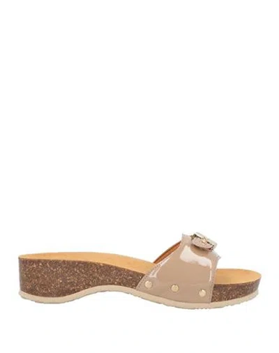 Scholl Woman Mules & Clogs Taupe Size 8 Synthetisches Material In Gray