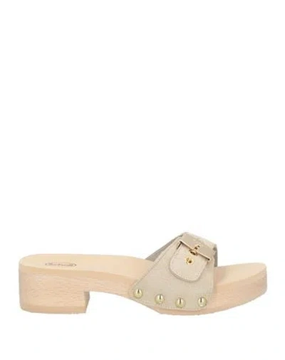 Scholl Woman Sandals Beige Size 8 Leather