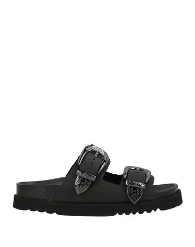 Scholl Woman Sandals Black Size 8 Leather