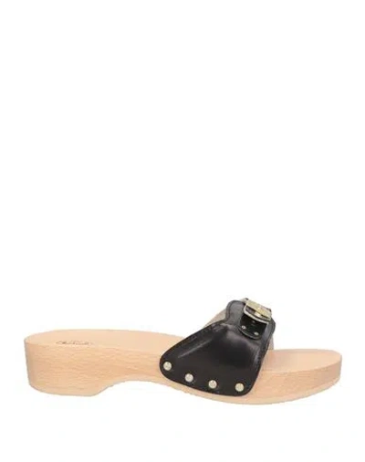 Scholl Woman Sandals Black Size 8 Synthetic Material