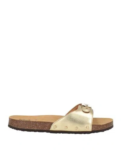 Scholl Woman Sandals Gold Size 8 Leather