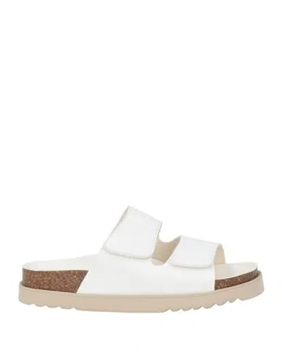 Scholl Woman Sandals Ivory Size 7 Synthetic Material In White