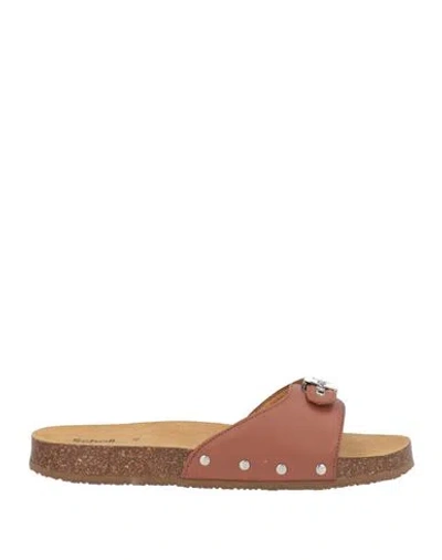 Scholl Woman Sandals Tan Size 9 Leather In Brown