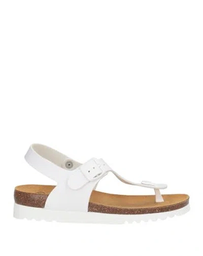 Scholl Woman Sandals White Size 11 Textile Fibers