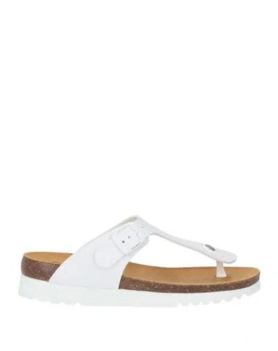 Scholl Woman Thong Sandal White Size 8 Synthetic Material