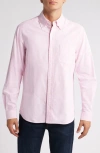 Schott Nyc Button-down Oxford Shirt In Pink
