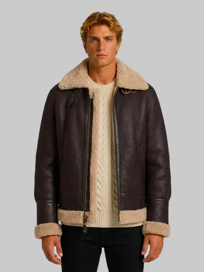 Schott Nyc Cordovan Shearling Aviator Bomber In Brown