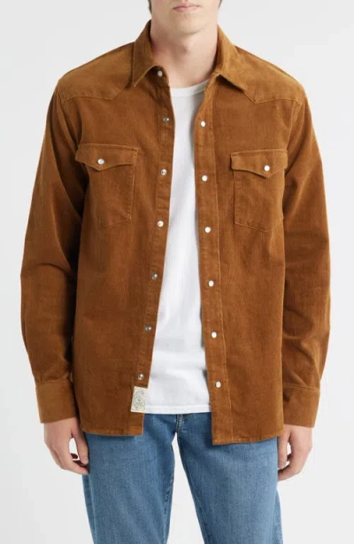 Schott Nyc Cotton Corduroy Western Shirt In Brown