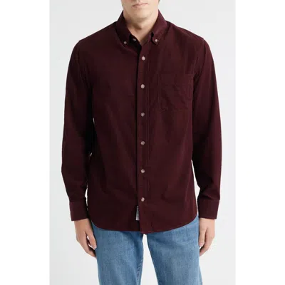 Schott Nyc Pinwale Corduroy Button Down Shirt In Burgundy