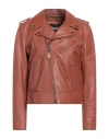Schott Woman Jacket Tan Size L Lambskin In Brown