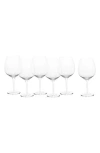 Schott Zwiesel Banquet Set Of 6 Burgundy Red Wine Glasses In Transparent
