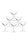 Schott Zwiesel Basic Bar Set Of 6 Martini Glasses In Transparent