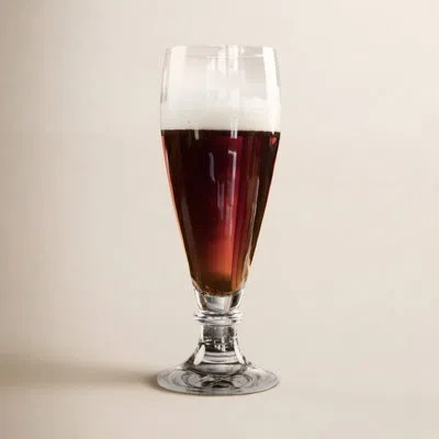 Schott Zwiesel Beer Basic Brussels 13.5 Oz. Pilsner Glass In Clear