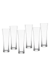 Schott Zwiesel Beer Basic Set Of 6 Beer Glasses In Transparent