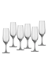 Schott Zwiesel Congresso Set Of 6 Champagne Flute Glasses In Transparent
