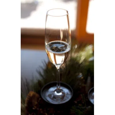 Schott Zwiesel Forte 8 Oz. Crystal Flute In Clear