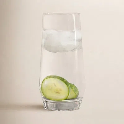 Schott Zwiesel Pure 18 Oz. Crystal Drinking Glass In Clear