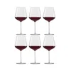 Schott Zwiesel Vervino All Purpose Wine Glass, Set Of 6 In Transparent