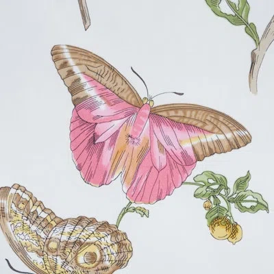 Schumacher Baudin Butterfly Chintz Fabric In Blush