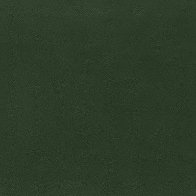 Schumacher Canyon Leather Wallpaper In Hunter