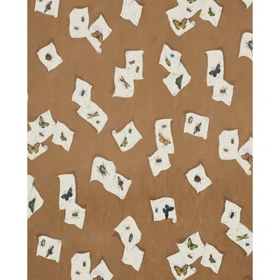 Schumacher Diana Wallpaper In Brown,white