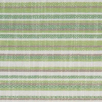 Schumacher Dylan Indoor/outdoor Fabric In Green