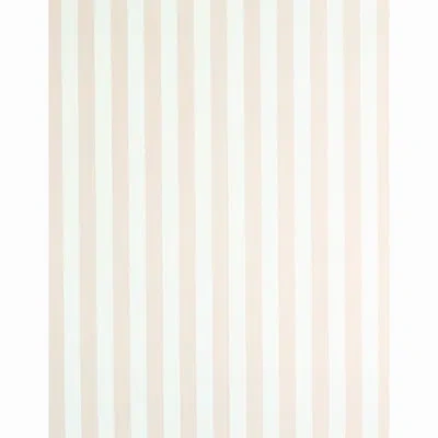 Schumacher Edwin Stripe Medium Wallpaper In Blush