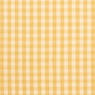 Schumacher Elton Cotton Check Fabric In Straw