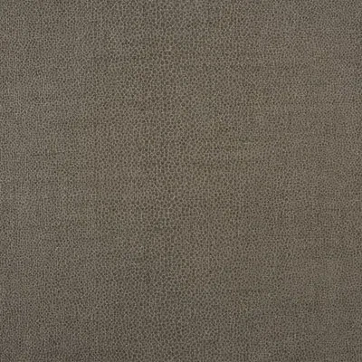 Schumacher Gloss Shagreen Fabric In Stone