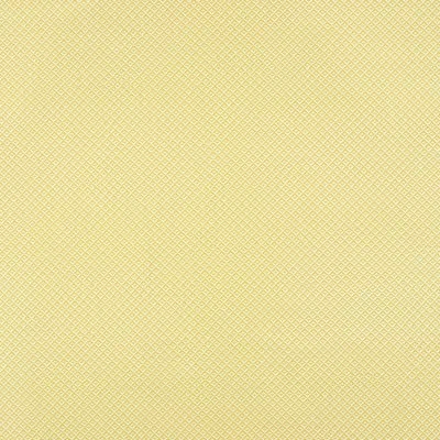 Schumacher Jamison Fabric In Soleil
