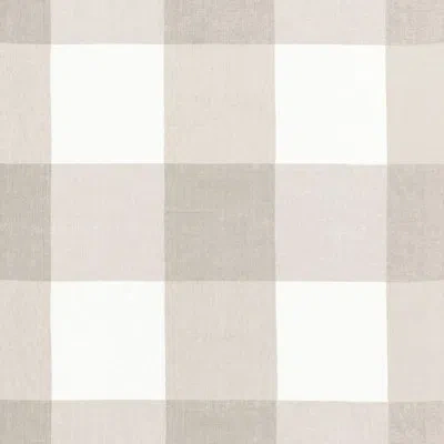 Schumacher Key Largo Check Fabric In Zinc