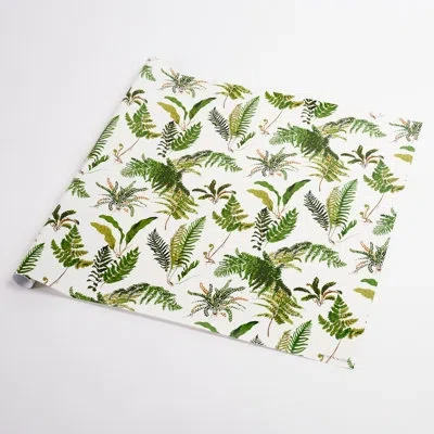 Schumacher Les Fougeres Wrapping Paper In White;green
