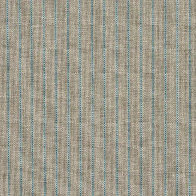 Schumacher Manning Stripe Indoor/outdoor Fabric In Aqua