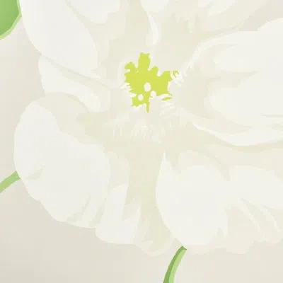 Schumacher Nasturtium Wallpaper In Stone