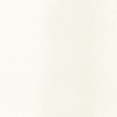 Schumacher Shagreen Wallpaper In White Pearl
