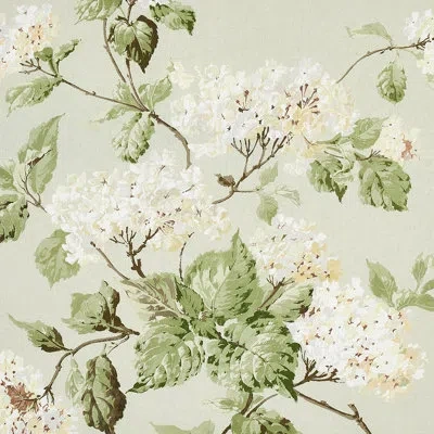 Schumacher Summer Hydrangea Fabric In Celadon