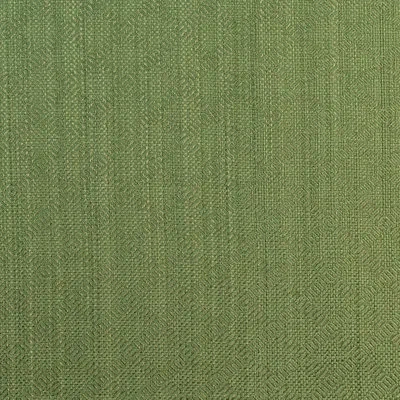Schumacher Villis Strie Fabric In Emerald