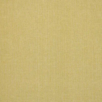 Schumacher X A Rum Fellow Ispa Hand Woven Plain Fabric In Green