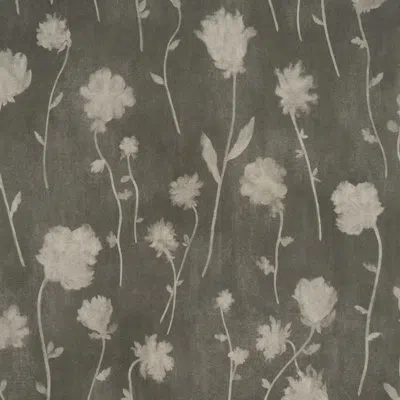 Schumacher X Backdrop Before Midnight Wallpaper In Black