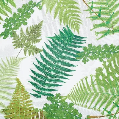 Schumacher X Clements Ribeiro Fernarium Fabric In Green,ivory