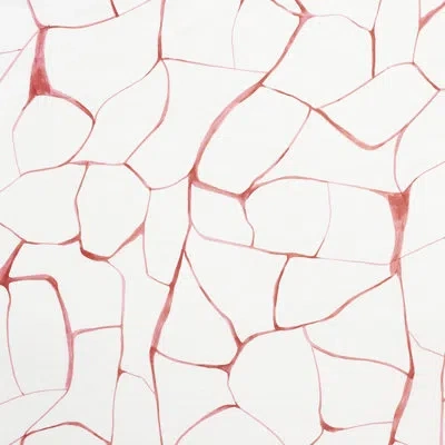 Schumacher X Porter Teleo Filigree Fabric In Coral