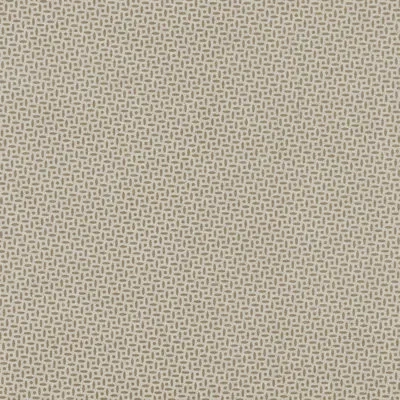 Schumacher X Veere Grenney Berrydown Fabric In Brown